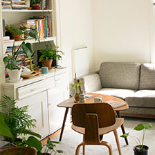 Ways to Make Your House Special – Creating Indoor Jungle
